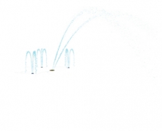 TEAM SPRAY NO3