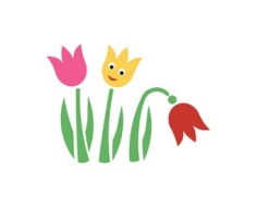 Tulipánok