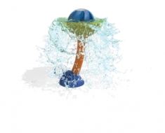 BOBBLE NO1