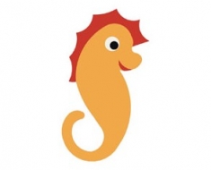 Csikóhal