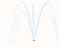 WATER BLOOM NO2