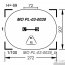 MO PL-03-0038