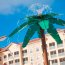 PALM TREE