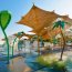 WAVY PALM
